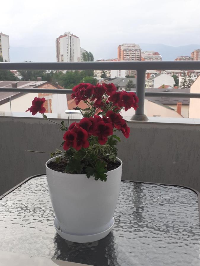 Ballet Apartament Skopje Zewnętrze zdjęcie
